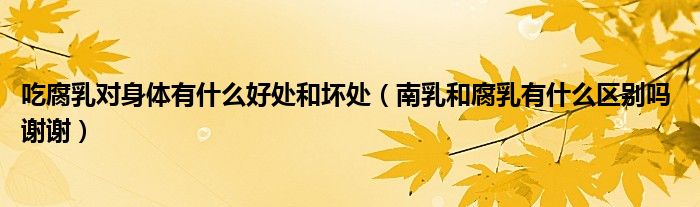 吃腐乳對身體有什么好處和壞處（南乳和腐乳有什么區(qū)別嗎 謝謝）