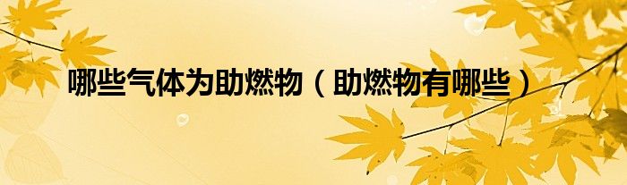 哪些氣體為助燃物（助燃物有哪些）
