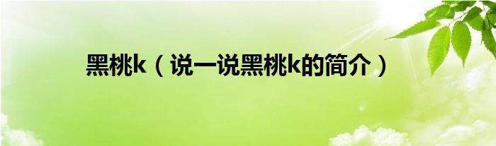 黑桃k（說(shuō)一說(shuō)黑桃k的簡(jiǎn)介）