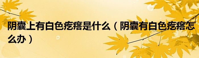 陰囊上有白色疙瘩是什么（陰囊有白色疙瘩怎么辦）