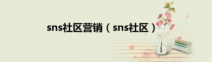 sns社區(qū)營銷（sns社區(qū)）