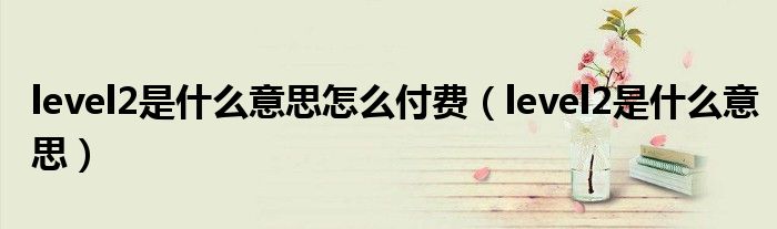 level2是什么意思怎么付費（level2是什么意思）