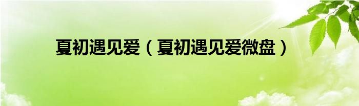 夏初遇見愛（夏初遇見愛微盤）