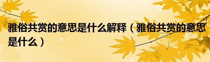 雅俗共賞的意思是什么解釋（雅俗共賞的意思是什么）