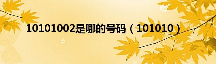 10101002是哪的號(hào)碼（101010）