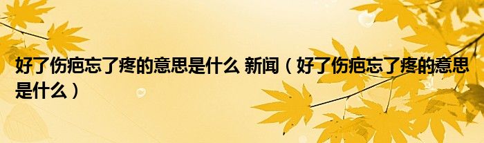 好了傷疤忘了疼的意思是什么 新聞（好了傷疤忘了疼的意思是什么）