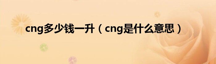 cng多少錢一升（cng是什么意思）