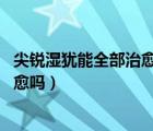 尖銳濕猶能全部治愈嗎（尖銳濕疣能治好嗎 尖銳濕疣可以治愈嗎）