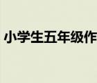 小學(xué)生五年級作文大全（小學(xué)生五年級作文）