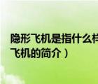 隱形飛機是指什么樣的飛機（說一說隱形飛機是指什么樣的飛機的簡介）