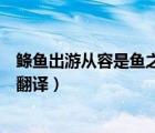 鰷魚出游從容是魚之樂也的翻譯（鰷魚出游從容是魚之樂也翻譯）