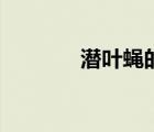 潛葉蠅的防治竅門（潛葉蠅）