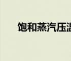 飽和蒸汽壓溫度對照表（飽和蒸汽壓）
