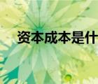 資本成本是什么概述（資本成本是什么）