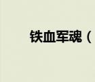鐵血軍魂（說一說鐵血軍魂的簡介）