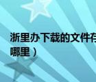 浙里辦下載的文件存在手機哪里（百度文庫下載的文件存在哪里）