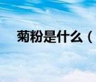 菊粉是什么（說一說菊粉是什么的簡介）
