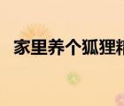 家里養(yǎng)個狐貍精筆趣閣（家里養(yǎng)個狐貍精）