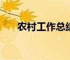 農(nóng)村工作總結(jié)結(jié)束語（農(nóng)村工作總結(jié)）