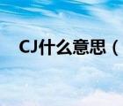 CJ什么意思（說一說CJ什么意思的簡介）