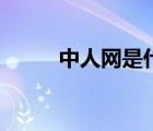 中人網(wǎng)是什么公司（中人網(wǎng)首頁）