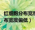 紅細(xì)胞分布寬度偏低的原因及危害（紅細(xì)胞分布寬度偏低）