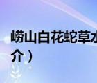 嶗山白花蛇草水（說一說嶗山白花蛇草水的簡介）