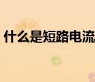 什么是短路電流的電動力效應（什么是短路）