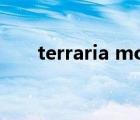 terraria mod推薦（terraria mod）