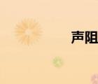 聲阻抗類型（聲阻抗）