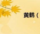 黃鶴（說一說黃鶴的簡介）