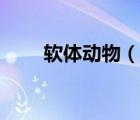 軟體動(dòng)物（說一說軟體動(dòng)物的簡介）