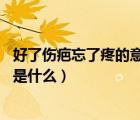 好了傷疤忘了疼的意思是什么 新聞（好了傷疤忘了疼的意思是什么）