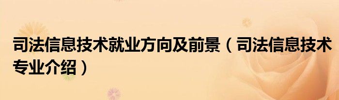 司法信息技術(shù)就業(yè)方向及前景（司法信息技術(shù)專業(yè)介紹）