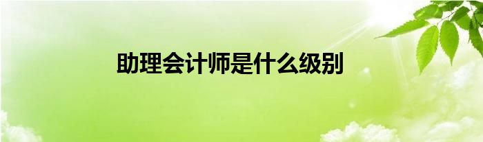 助理會計師是什么級別