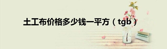土工布價(jià)格多少錢(qián)一平方（tgb）