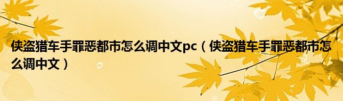 俠盜獵車(chē)手罪惡都市怎么調(diào)中文pc（俠盜獵車(chē)手罪惡都市怎么調(diào)中文）