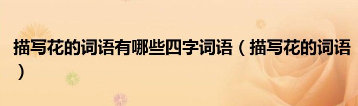 描寫花的詞語有哪些四字詞語（描寫花的詞語）