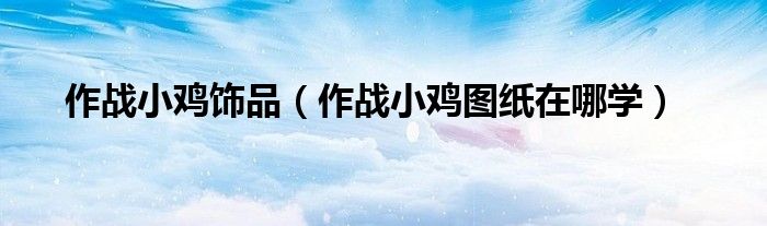 作戰(zhàn)小雞飾品（作戰(zhàn)小雞圖紙在哪學）
