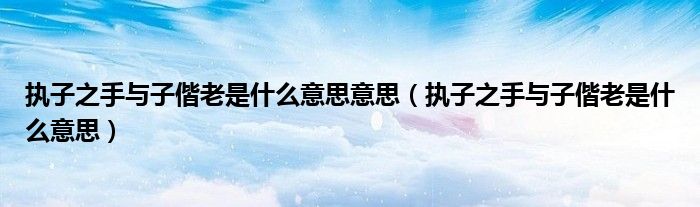 執(zhí)子之手與子偕老是什么意思意思（執(zhí)子之手與子偕老是什么意思）