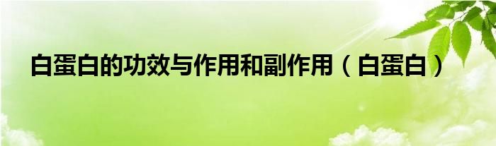 白蛋白的功效與作用和副作用（白蛋白）