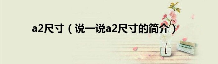a2尺寸（說一說a2尺寸的簡介）
