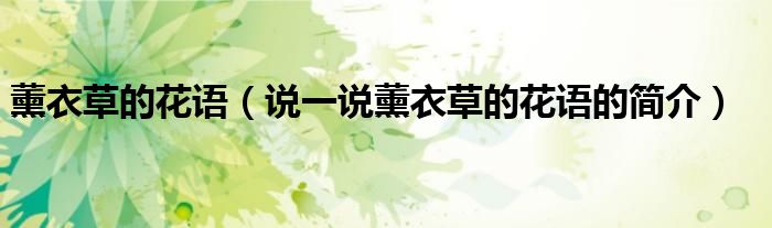 薰衣草的花語（說一說薰衣草的花語的簡介）