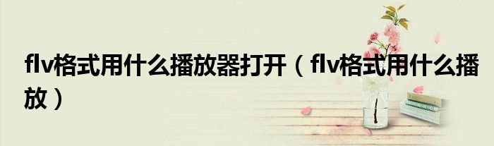 flv格式用什么播放器打開（flv格式用什么播放）