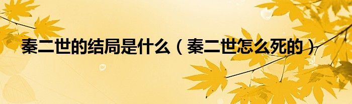 秦二世的結(jié)局是什么（秦二世怎么死的）