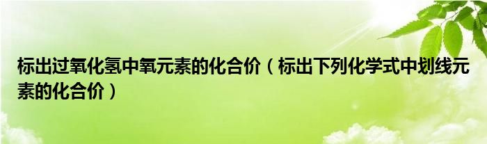 標出過氧化氫中氧元素的化合價（標出下列化學式中劃線元素的化合價）