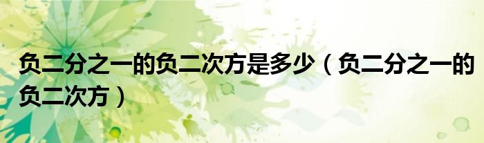 負(fù)二分之一的負(fù)二次方是多少（負(fù)二分之一的負(fù)二次方）
