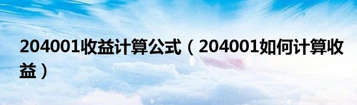 204001收益計算公式（204001如何計算收益）