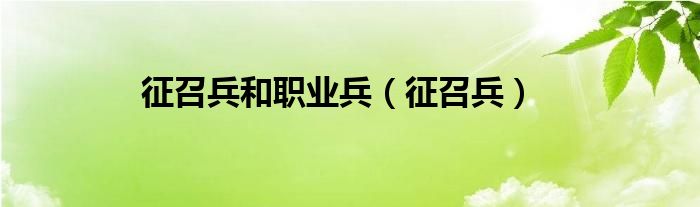 征召兵和職業(yè)兵（征召兵）