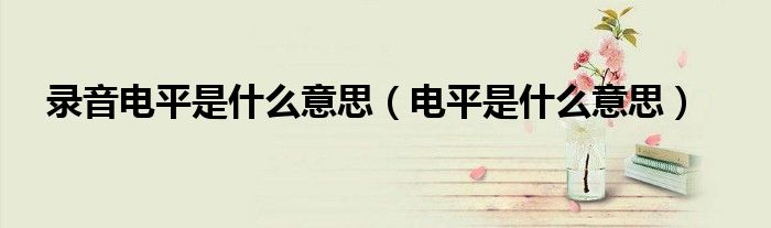 錄音電平是什么意思（電平是什么意思）